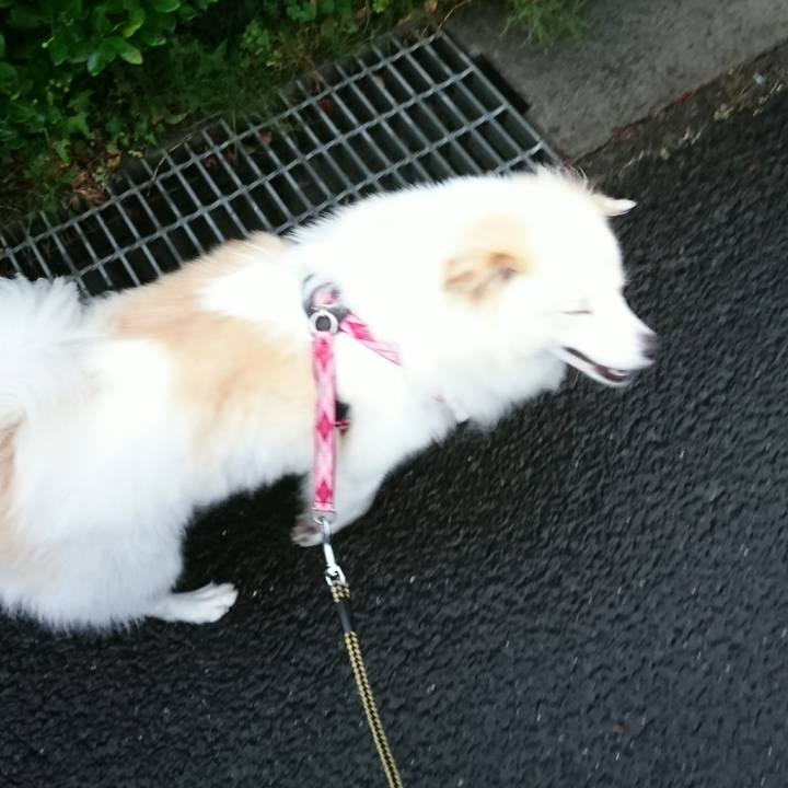 7c465439 dd23 4260 9a83 29a921c1f02f