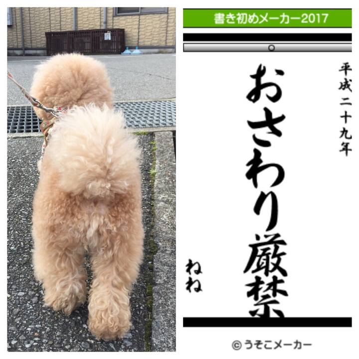 7c466580 5546 4365 b2c5 3928e987c72e