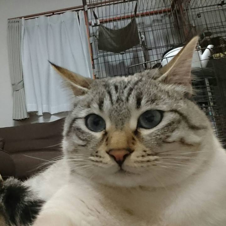 7c46da6e bfcf 4853 86d3 8edbadda2954