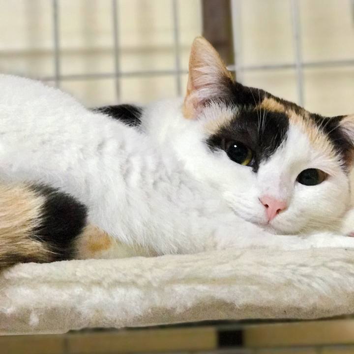 7c47188d 3856 4bd7 ae59 fd2e7b22c688