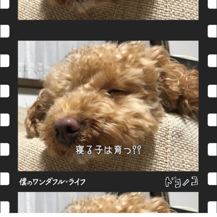 7c47e449 8fa1 4d7f be1c b3f31624792a