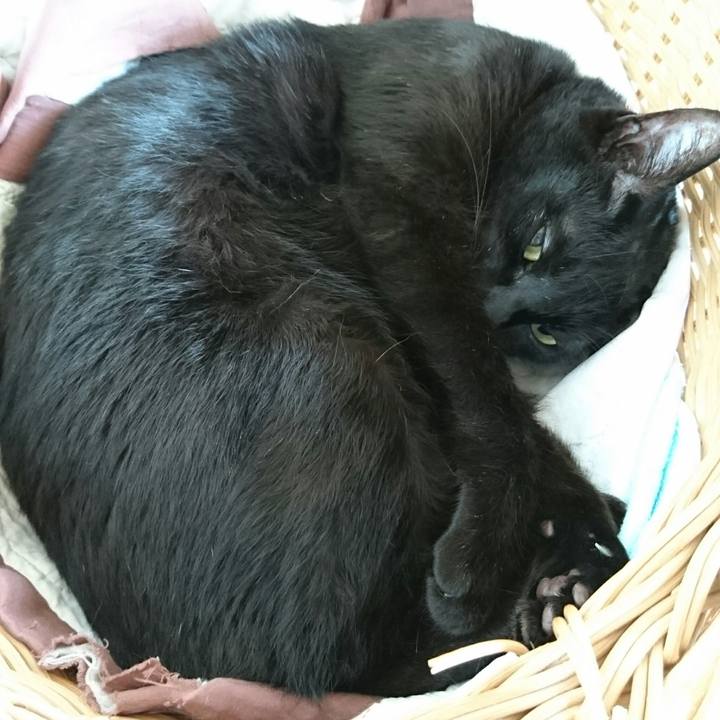 7c485e93 bfcc 4353 b3cd abd72c116a6a