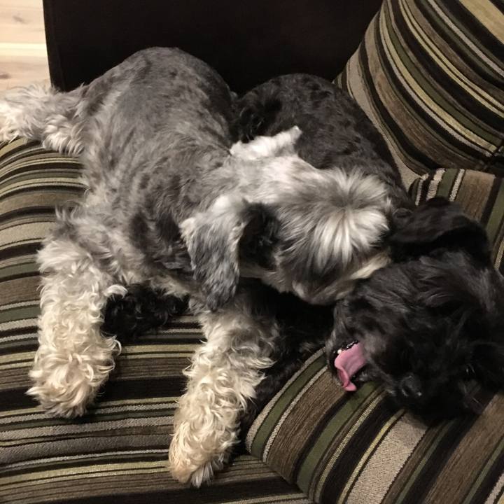 7c486316 2586 43d8 84e4 03bf79d7da77