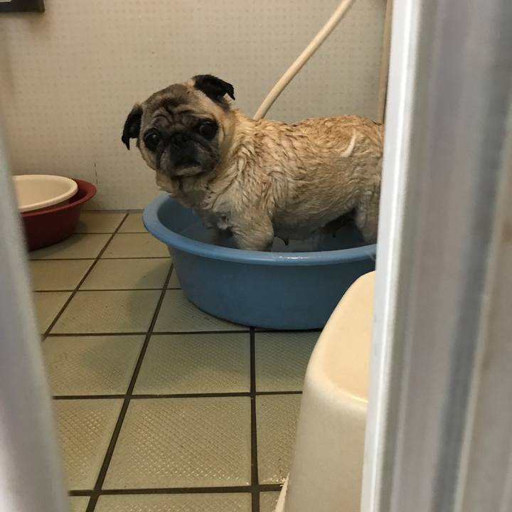 7c488bb1 55b8 4a48 bd07 fcf1fedb59ce