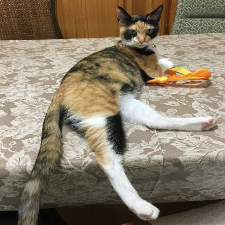 7c48cb07 14a0 4bae b082 6e8a391b61ff