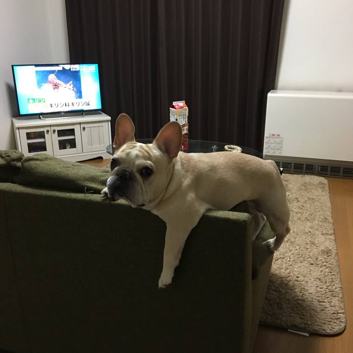 7c48e1c6 03fa 41ee 89fb 7061a916fdbe