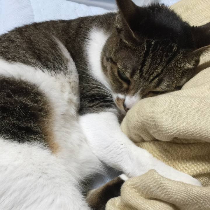 7c491fcf 4bb2 4690 944b 8203e8f17663