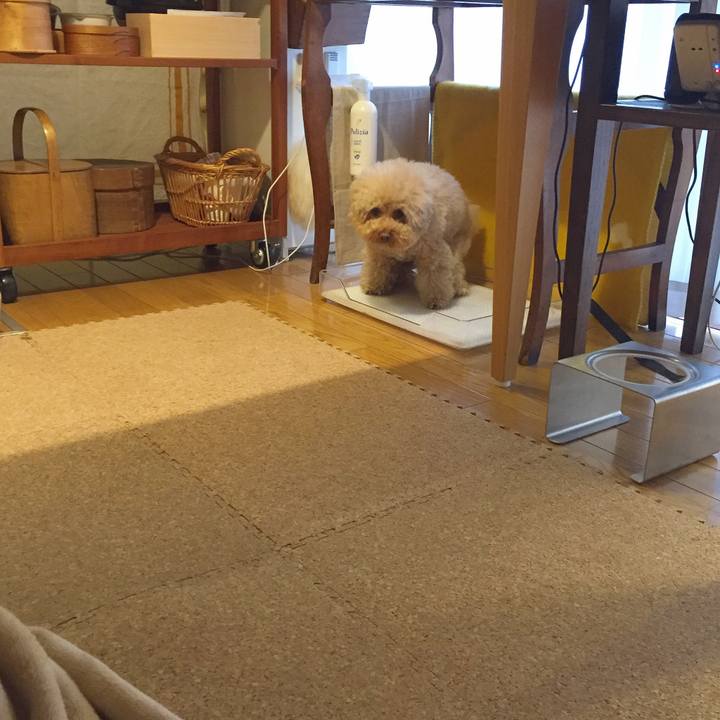 7c49f35f 016e 4821 9e6b f49812fa0f5e