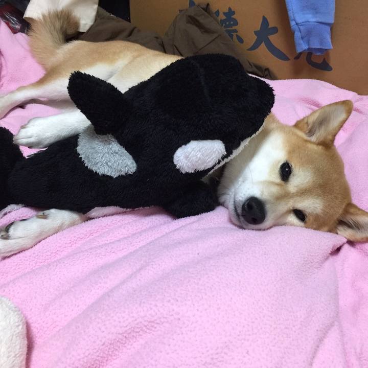 7c4a3343 9daa 4574 bb2a 7ec700d59f27