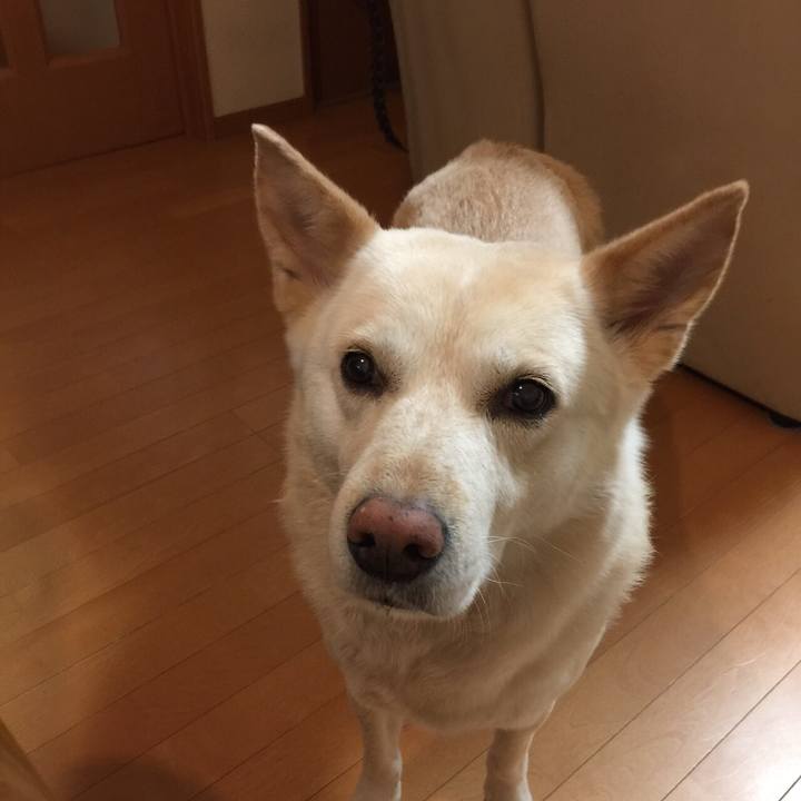 7c4a6f5e b309 408c bddf e6471057e608