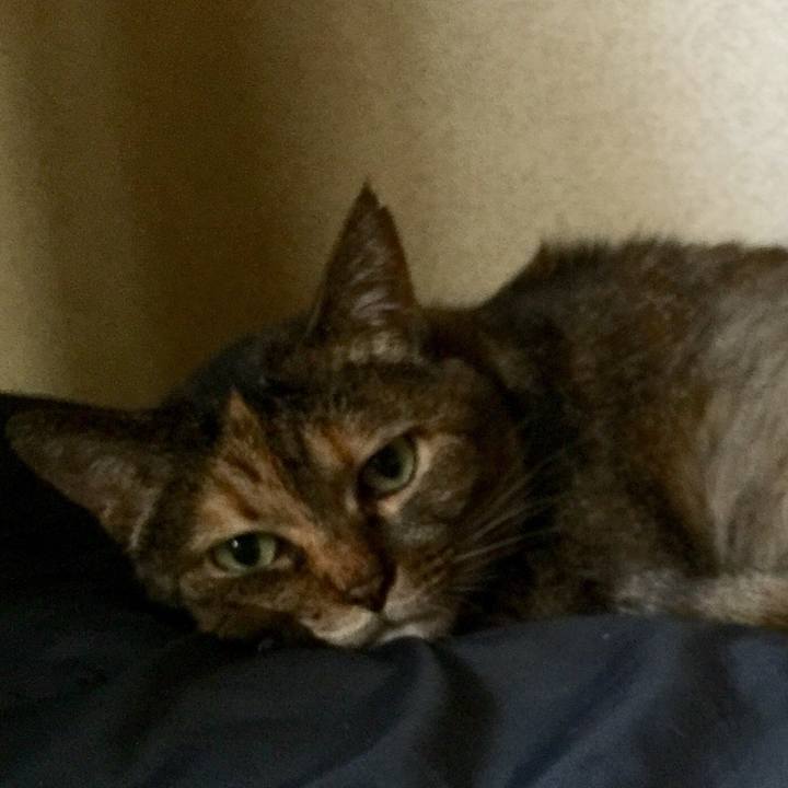 7c4ae12c 4aca 48cd 8bb8 fedb897f7593