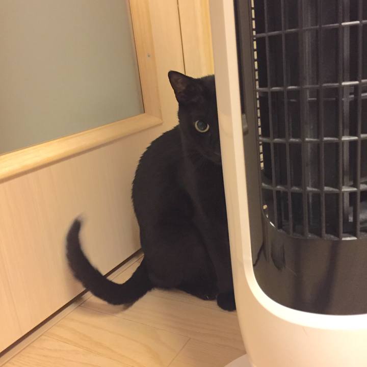 7c4b1ee7 80c6 4812 9210 f9afb6505704