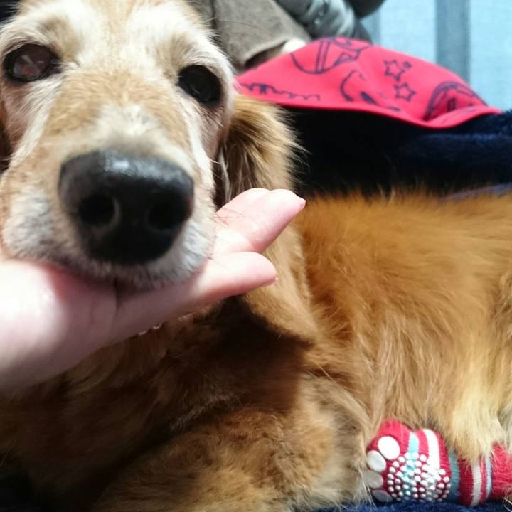 7c4bdb40 d31b 4a36 ac50 a14e8e5a1440