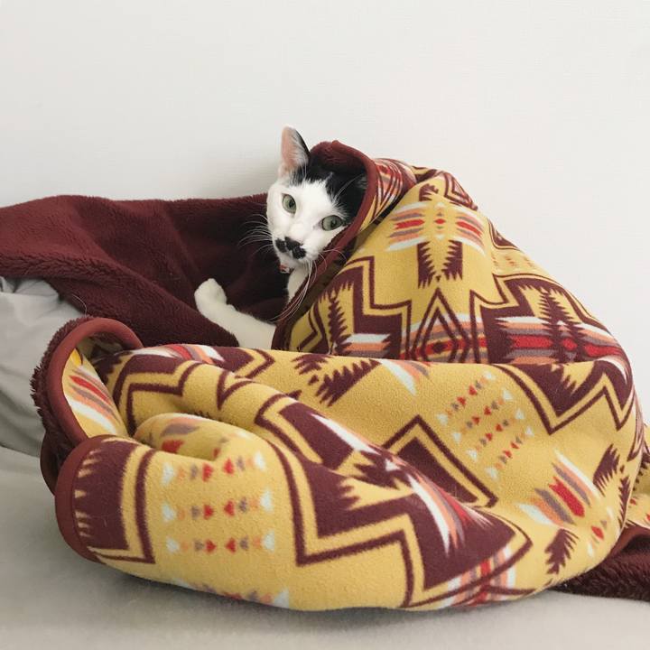 7c4c930e ca78 49dc b346 4c3967c6b642