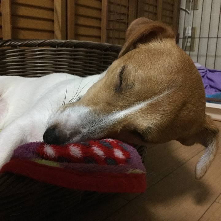 7c4d3313 3e66 4b76 89b1 a28ad28e96a6