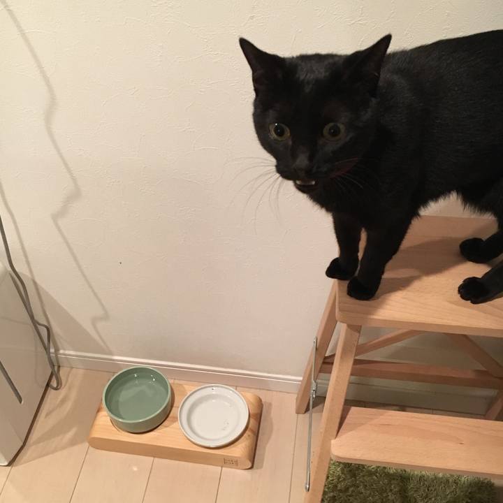 7c4e0441 02f1 4568 b56c c2b06704f4ea