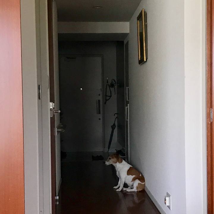 7c4e1660 b0d5 4b6a 8db9 ce0ec72fa893