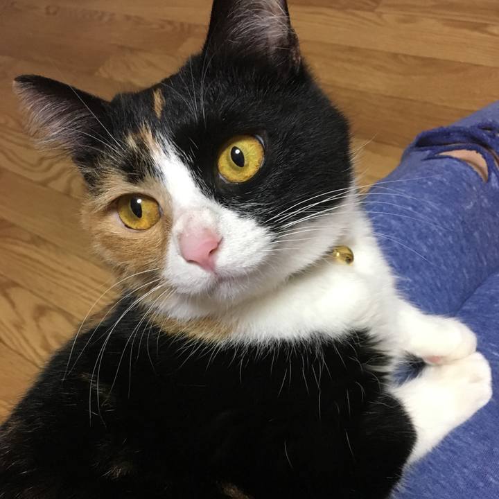 7c4e380c 9c0c 4587 87ac e62f13ee71ea