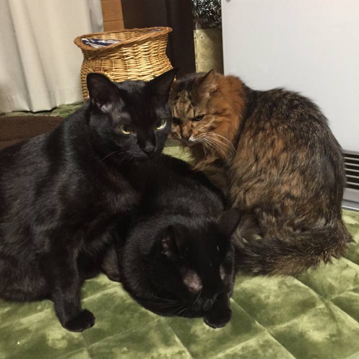 7c4e5503 5bcf 4aac a474 d5fe596f8e31