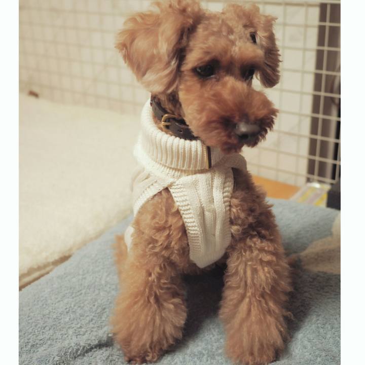 7c4e6cdd 2c46 4a1d 98a5 755910d36e2a