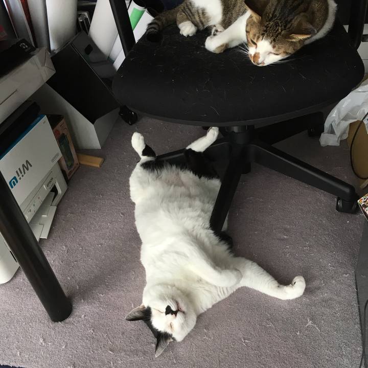 7c4eccf1 0b35 4427 ab8c 26585cf113fd