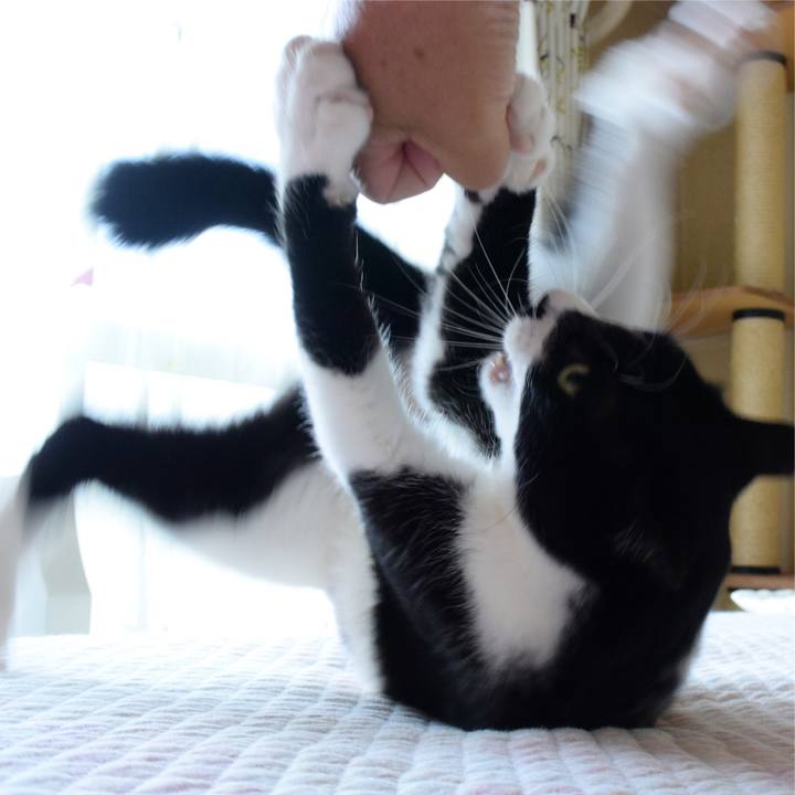 7c4f9548 aedc 48a8 8462 db98a3f17a1a