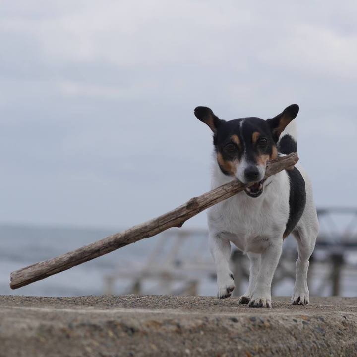 7c507276 e366 4649 af82 c75e8d51bab1