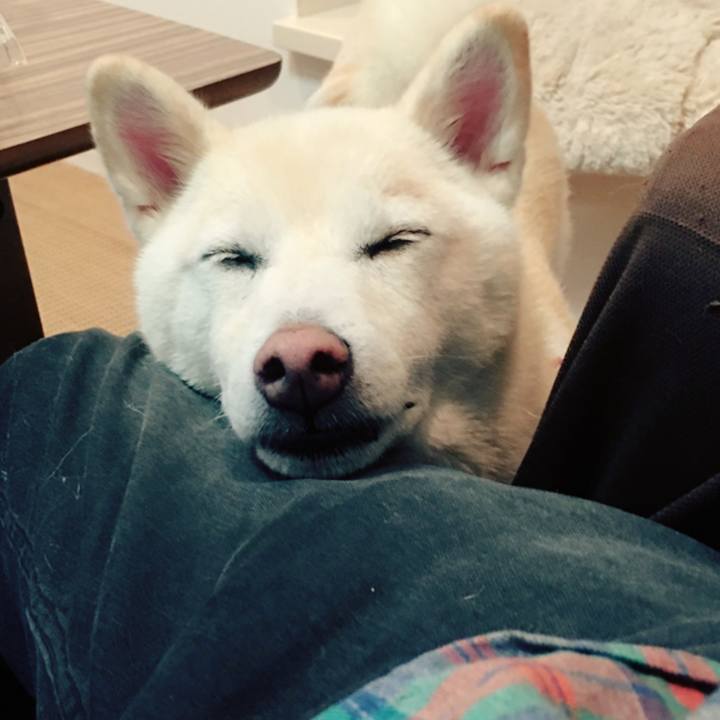 7c513701 de07 4d19 b040 a21782177245