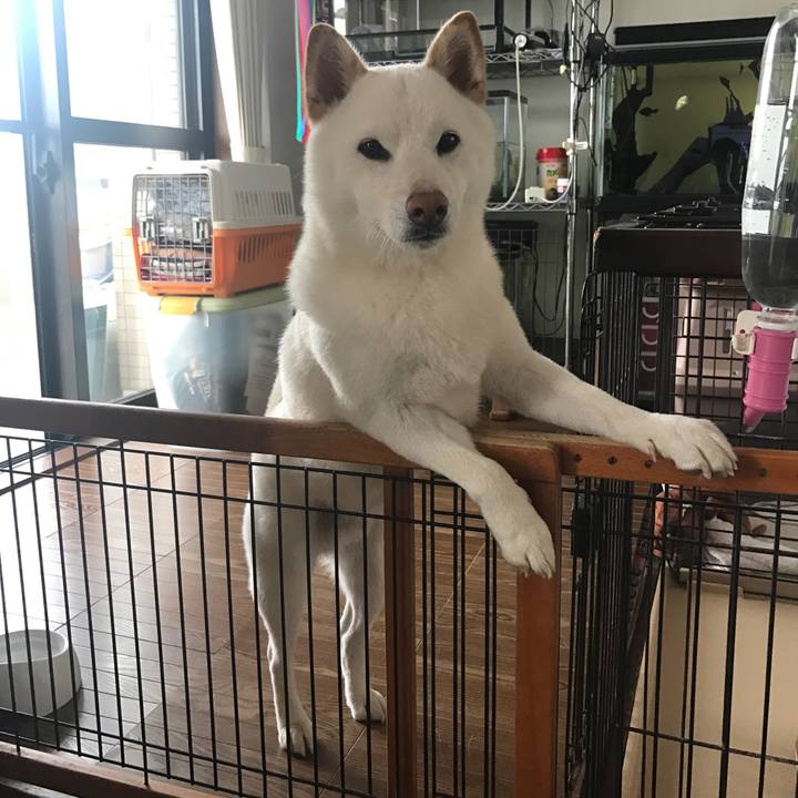 7c51b0e1 f501 4cf4 b624 9b0c7852c009