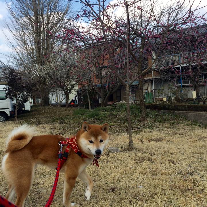 7c51b250 f237 469a 9396 14f22a33a457