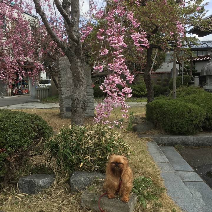 7c520852 da5f 4ff8 b4a6 96520eb25c22