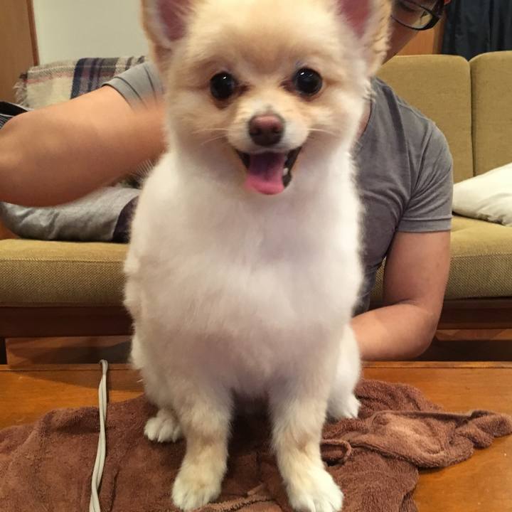 7c528a0f 2681 41b2 ab40 6652cd708a0d