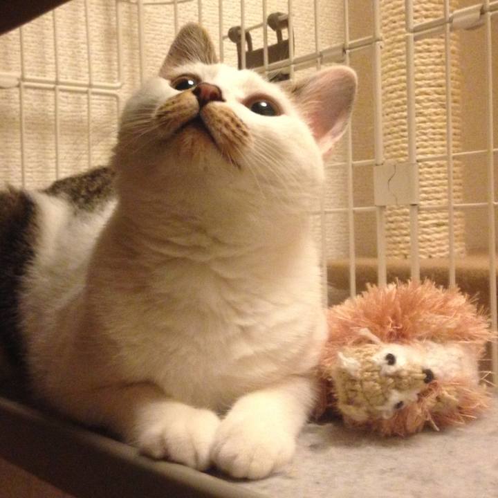 7c52cb09 ed86 4a7d 85de ba18ef04997a