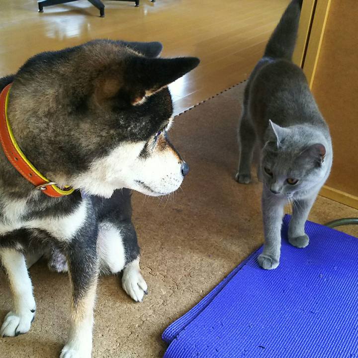 7c52d96a 5ccc 4886 b688 3aab6fce63b5