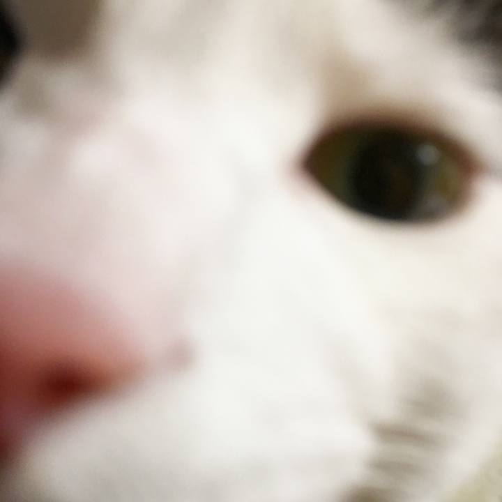 7c5360fe c96d 4b58 81c6 61c0b4ce0d32