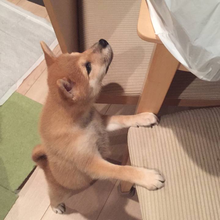 7c548d57 280c 4852 b688 7918fe0472d9