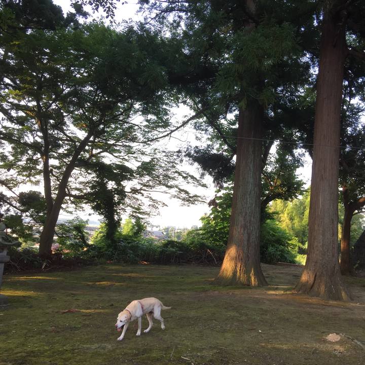 7c54d7e9 cd4f 4c5b 9a9a 105196c8a475