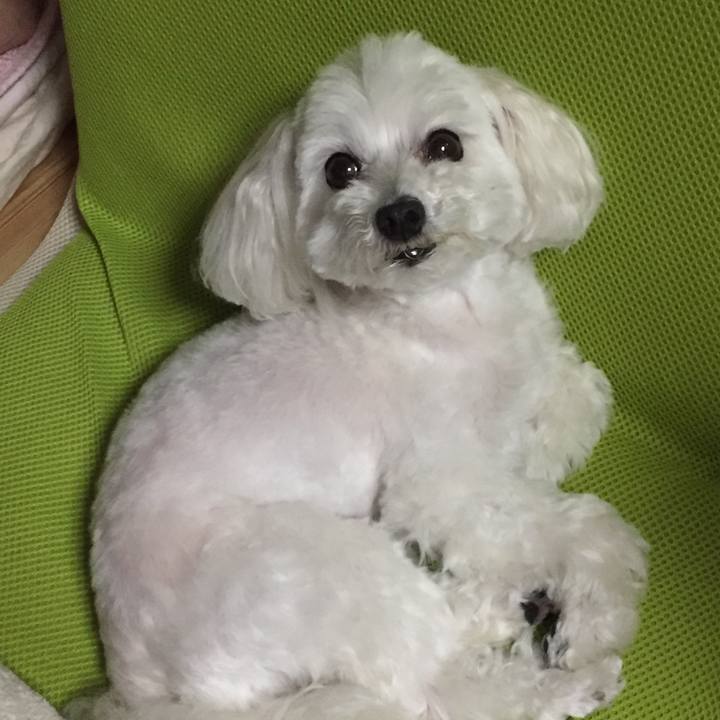 7c5527da 9e49 447d 8a48 afa96d30a41c