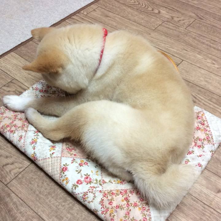 7c553676 79f4 46a8 af38 c9b10d5f335d