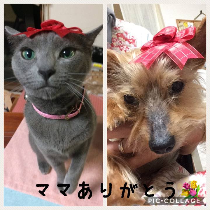 7c5619a2 9320 4b60 a216 274036f141cc