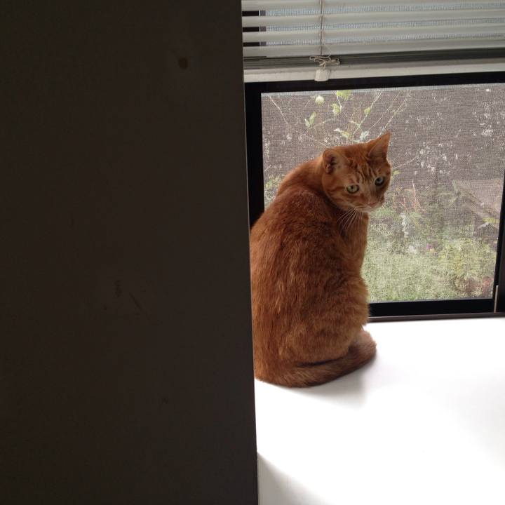 7c562c75 afe5 4c0f 9bc7 1db5694b6ed1