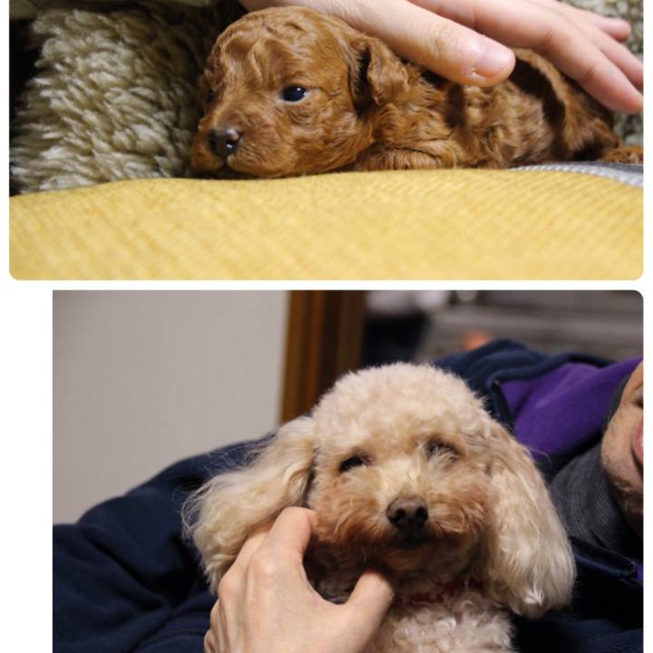 7c56af42 8da2 4db8 bf63 a4d8de35044f