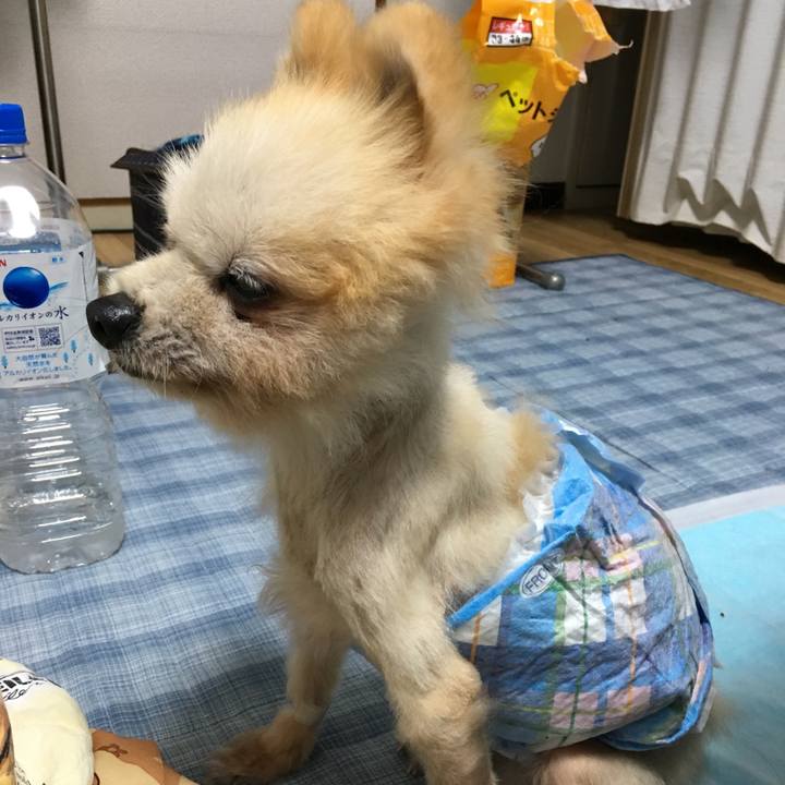 7c56e9a5 5d91 44c5 9a76 c255c58f7dce