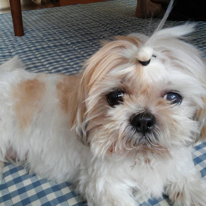 7c56eb72 dca5 4595 a259 b4a644e324f9