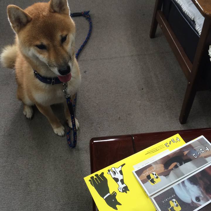 7c573559 585f 41e3 a420 168d0a20fcce