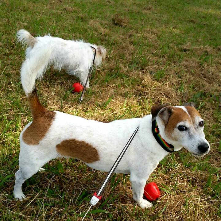 7c57854b 326a 47d3 aff8 f9a3093a12f3