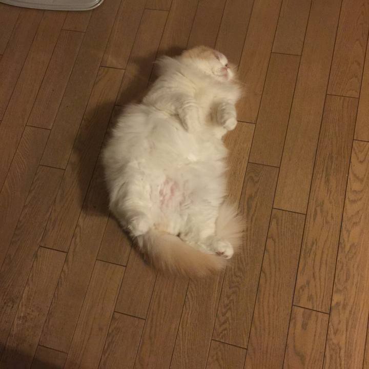 7c57d609 663b 4f50 8700 9dca84fffa7d