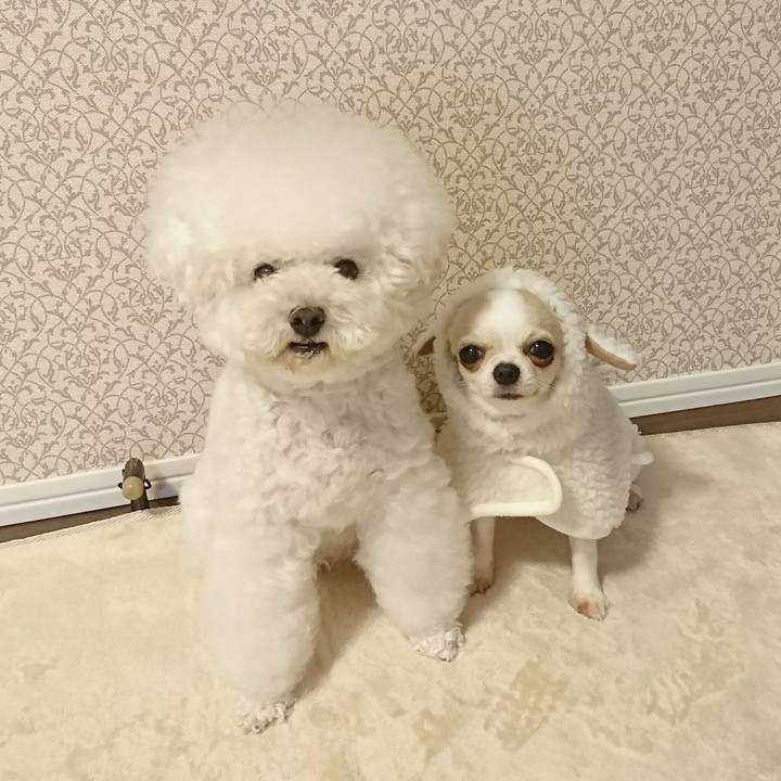 7c5835c2 ffd7 4b5e 92f2 3910e8a7dcf5