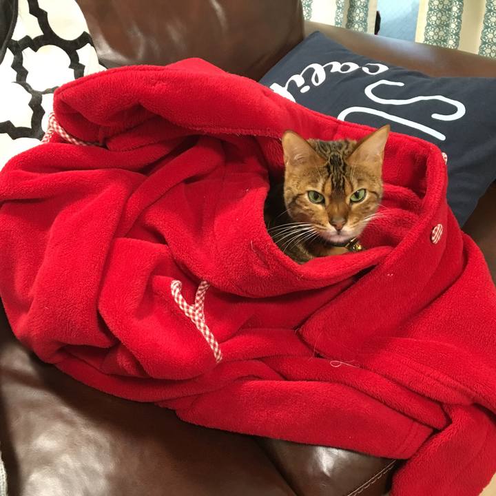 7c584de8 bb8a 4785 829b eddaf4437a28