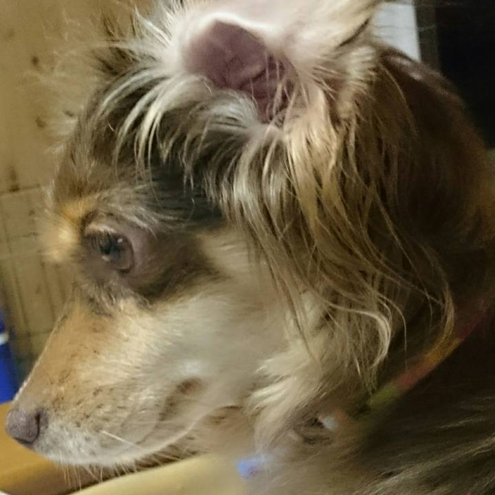 7c58b0e6 c0c7 4b3e 9ce5 487a44e5a709